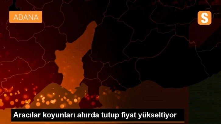 Aracılar koyunları ahırda tutup fiyat yükseltiyor