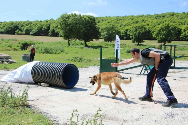 Arama kurtarma köpeklerinden başarılı sınav
