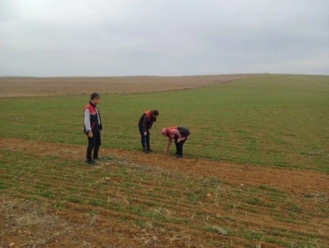 Arazi denetimleri ve çiftçi bilgilendirme toplantıları yapıldı
