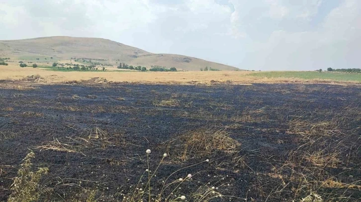 Arazi yangınında 3 dönüm ekili alan zarar gördü
