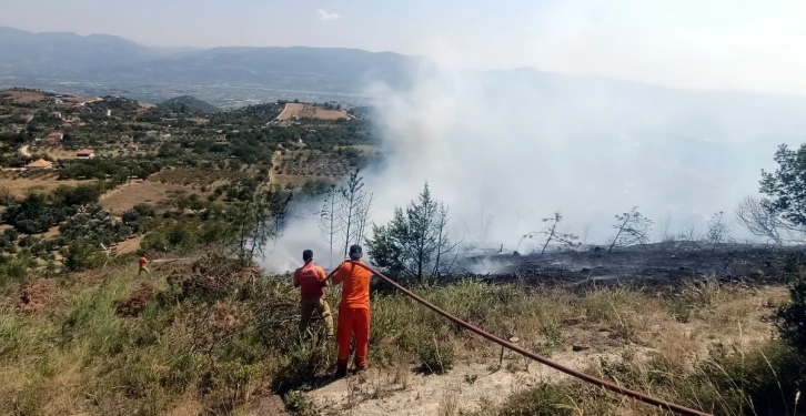 Arazide çıkan yangın ağaçlık alana sıçradı, 8 dönüm yer kül oldu
