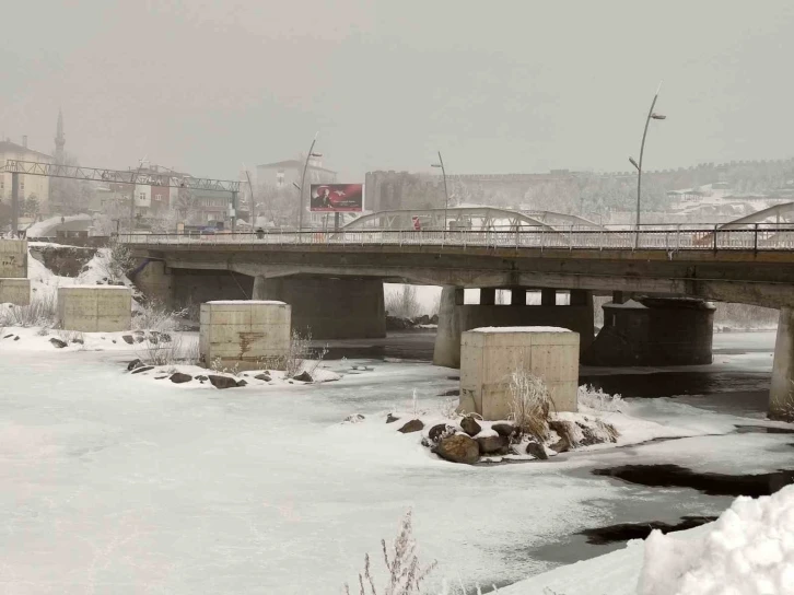 Ardahan’da dondurucu soğuk: Ağaçlar kırağı tuttu
