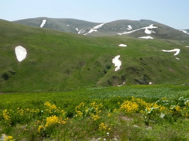 Ardahan’da yayla yolculuğu başladı
