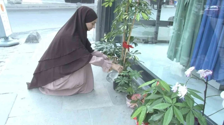 Arnavutköy’de bir işletmeye açılışta hediye edilen çiçekleri böyle çaldı
