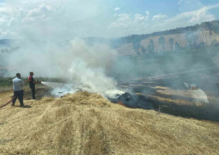 Arpa tarlası alev alev yandı
