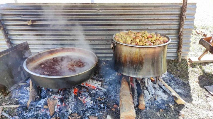 Artvin’de elma pekmezi geleneksel yöntemlerle yapılıyor
