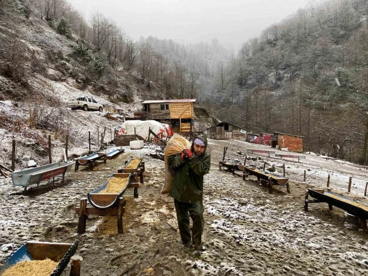 Artvin’de küçükbaş hayvanlarda çiçek hastalığı alarmı
