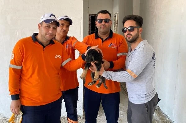 Asansör kuyusuna düşen yavru köpek, kurtarıldı