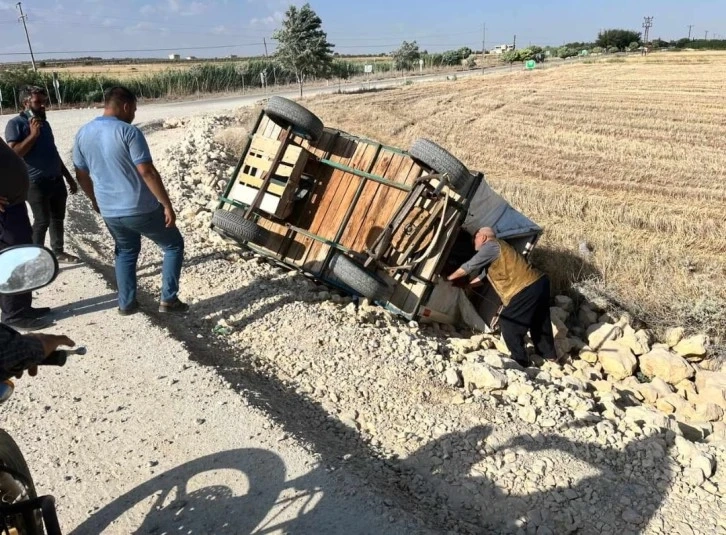 Aşırı Rüzgar At Arabasını Devirdi