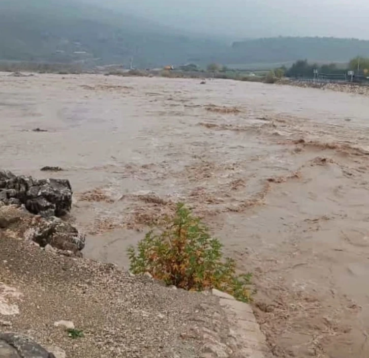 Aşırı yağış sonrası Dipni çayı coştu
