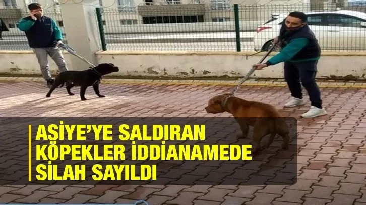 Asiye’ye saldıran köpekler iddianamede silah sayıldı