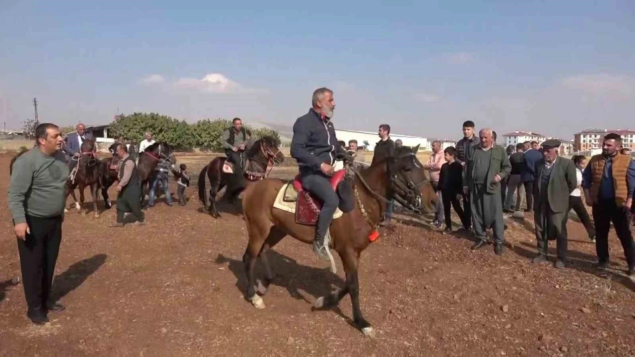 At sevdalıları Adıyaman’da bir araya geldi
