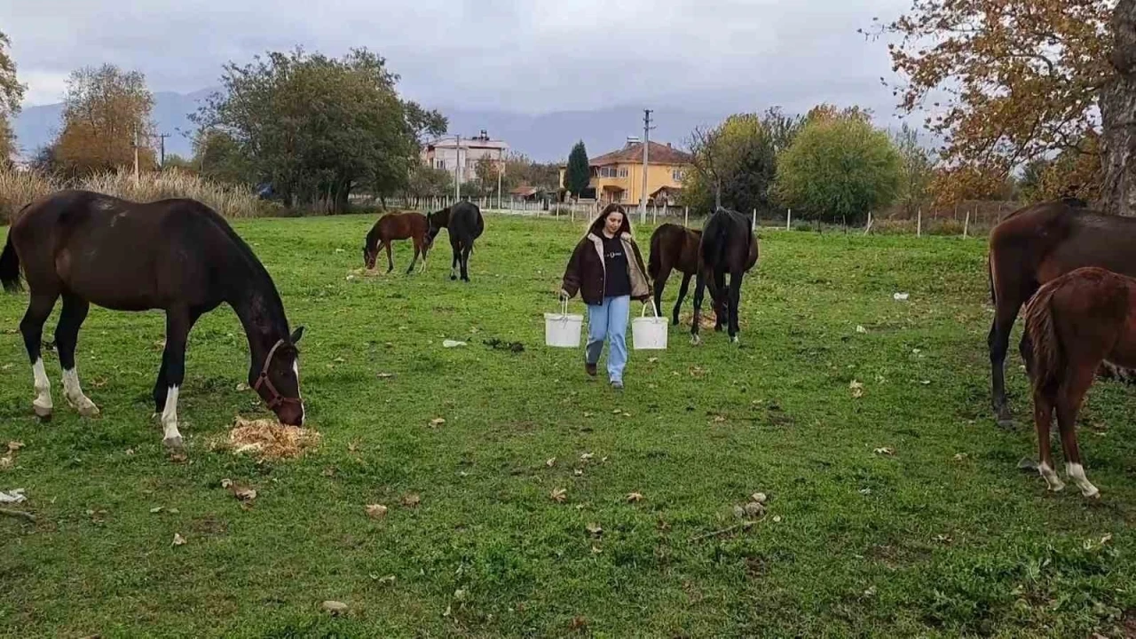 At sevgisiyle başlayan hobi hipodromda devam ediyor: Kurduğu tesiste yarış atı üretiyor
