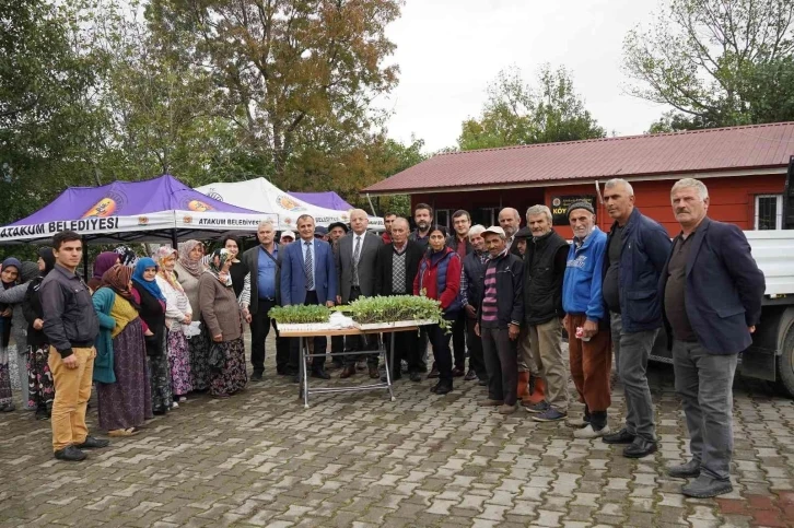 Atakum’dan üreticiye 40 bin adet sebze fidesi
