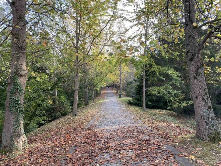 Atatürk Arboretumu’nda kartpostallık manzaralar
