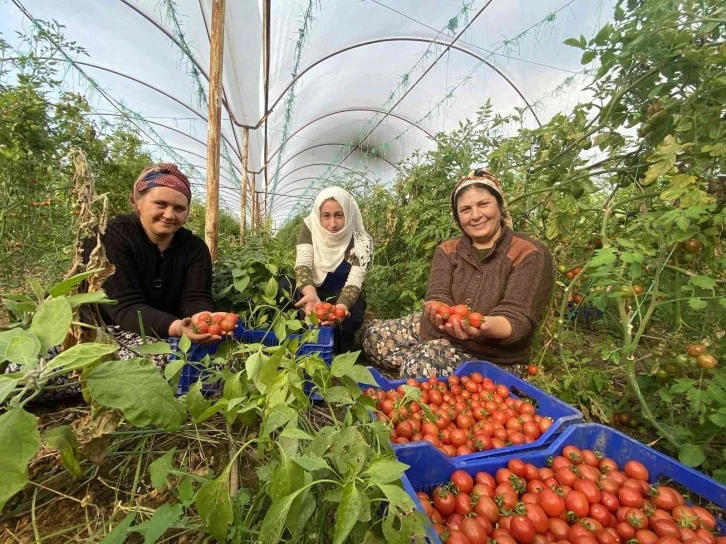 ATB Nisan ayı hal endeksini açıkladı
