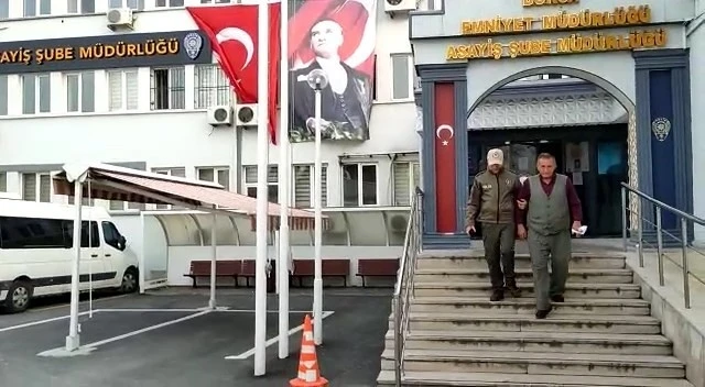 Atı aracına bağlayarak kilometrelerce koşturan şahsa gözaltı
