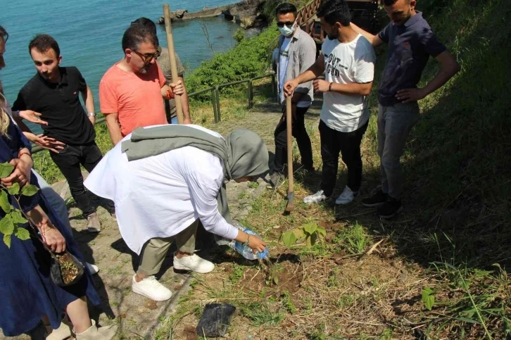 Avrasya Üniversitesi’nde yerleşkesinde fidan dikimi
