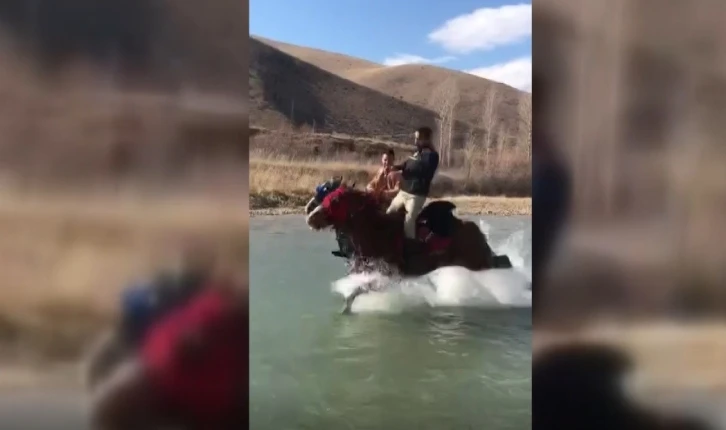 Ayağına su yılanı değen cirit atı yıllarca sırtında taşıdığı sahibini Çoruh’un serin sularına attı
