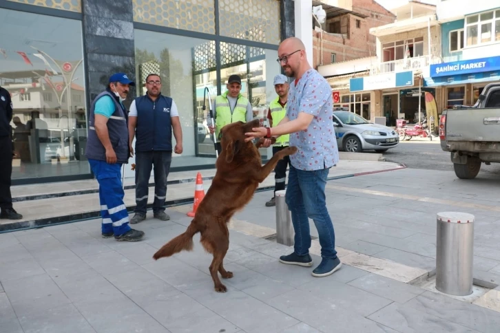 Aydın Büyükşehir Belediyesi, Koçarlı Belediyesi ile sokak hayvanları için ortak çalışma yapıyor
