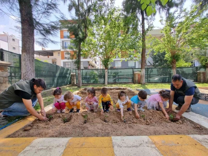 Aydın Büyükşehir Belediyesi’nin Ata Tohumları Projesi çocukların ellerinde büyüyor
