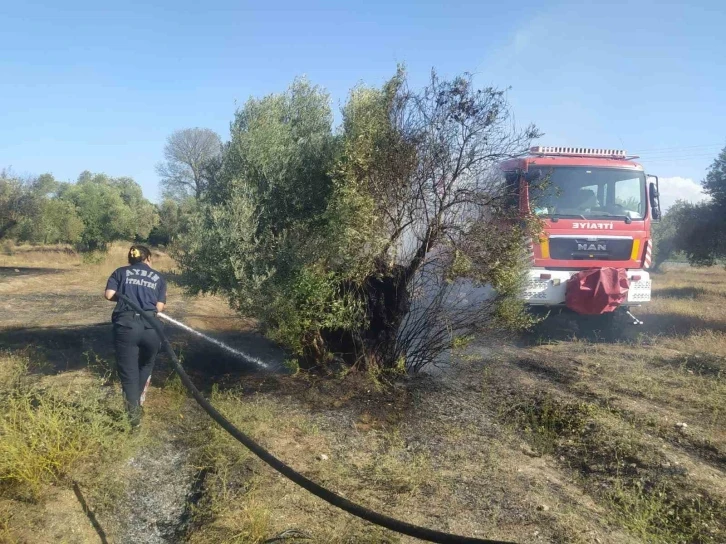 Aydın Büyükşehir İtfaiyesi’nden Umurlu’daki yangına hızlı müdahale
