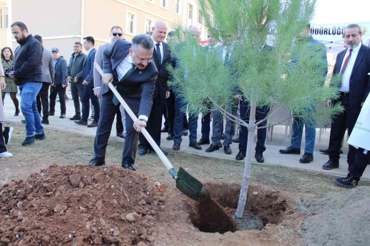 Aydın’da 109 bin fidan toprakla buluştu
