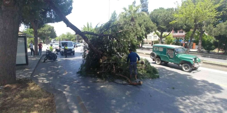 Aydın’da faciadan dönüldü
