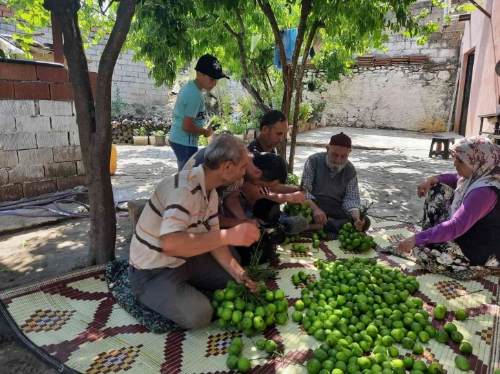 Aydın’da ilek mesaisi başladı
