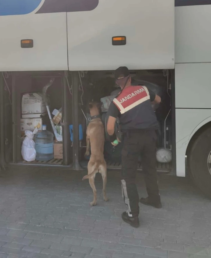 Aydın’da jandarma ekipleri düzensiz göçe geçit vermiyor
