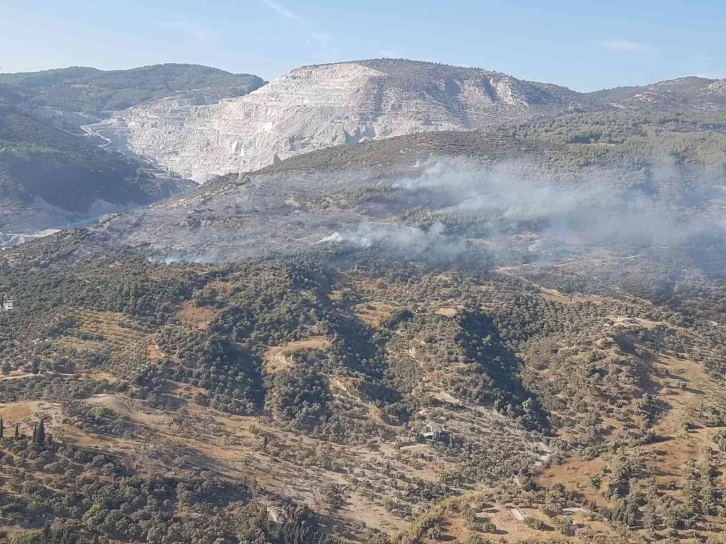 Aydın’da makilik ve zirai alandaki yangın kontrol altına alındı
