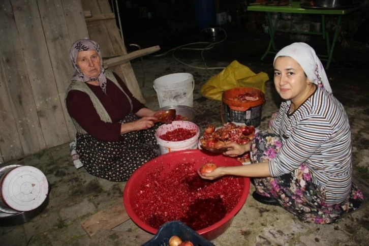 Aydın’da nar ekşisi telaşı başladı
