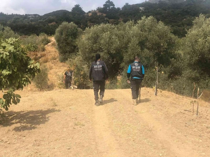 Aydınlı avcı köşe bucak aranıyor
