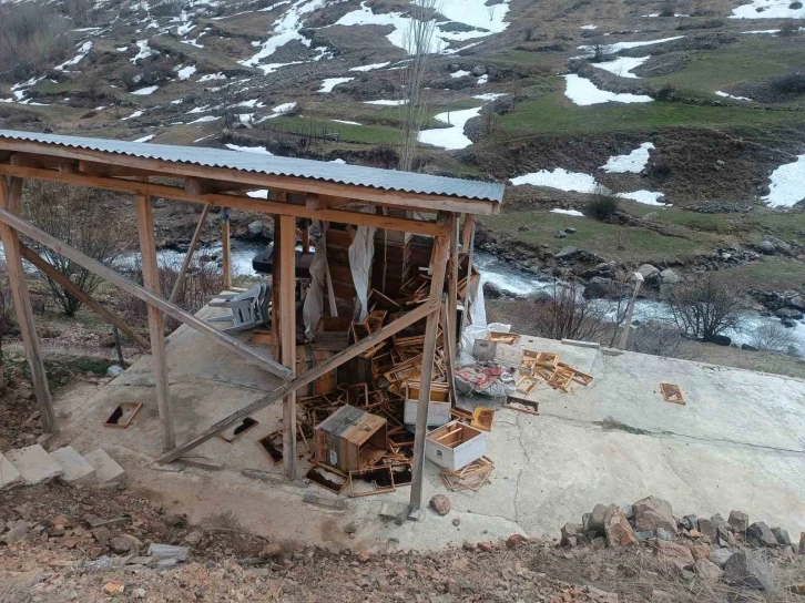 Ayılar arıcılara ait malzemeleri kullanılamaz hale getirdi
