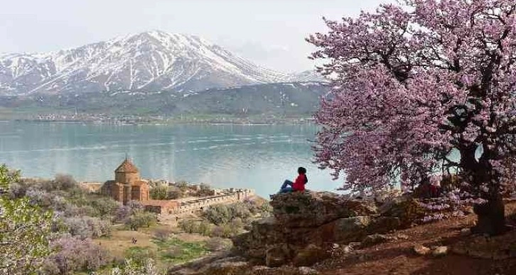 Badem çiçekleriyle renklenen Akdamar Adası’nda görsel şölen