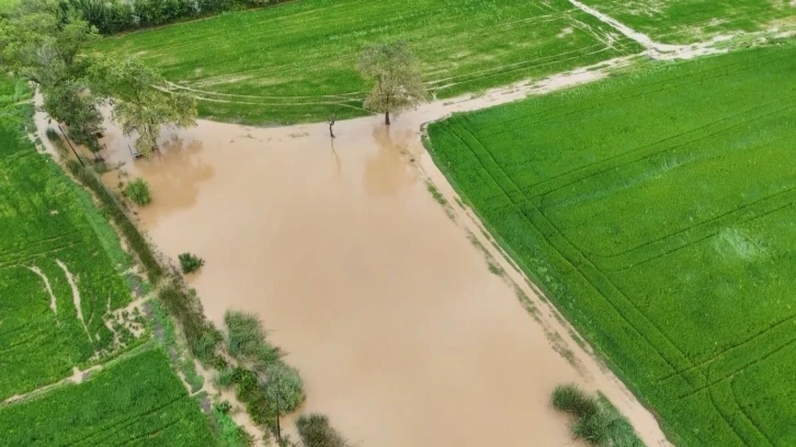 Bafra Ovası’nda tarım arazileri sular altında
