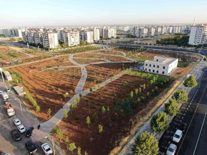 Bağlar Belediyesi 41 ayda 300 bin metrekare yeşil alan oluşturdu
