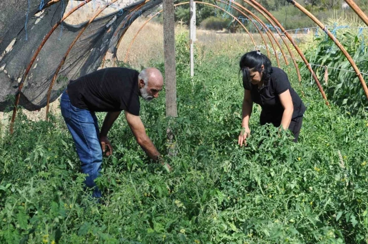 Bahçe içinde kurdukları konteynerde yaşayıp, ürettikleri meyve ve sebzeleri satmak yerine takas yapıyorlar
