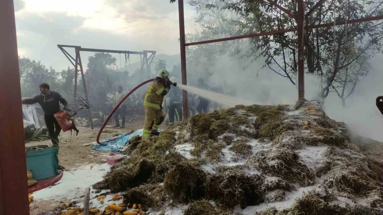 Bahçedeki samanlar alev alev yandı
