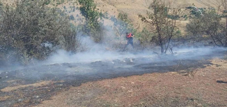 Bahçesaray’da mera alanında yangın
