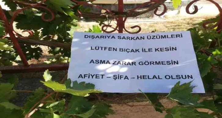 Bahçesinden dışarı sarkan üzümler için yazdığı notla gönülleri fethetti