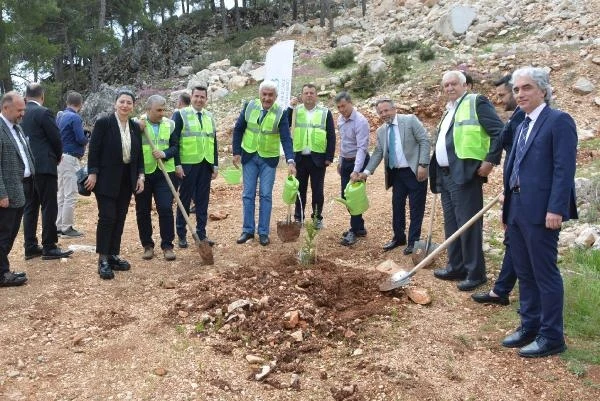 BAİB, mermer ocağını rehabilite ederek, ağaçlandırdı