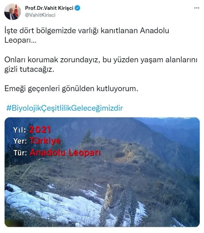 Bakan Kirişci’den ’Anadolu Leoparı’ paylaşımı
