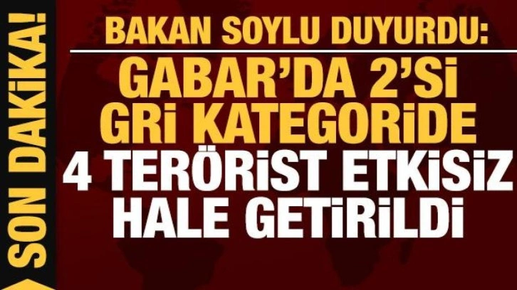 Bakan Soylu duyurdu: Gabar'da 2'si gri kategoride 4 terörist etkisiz hale getirildi