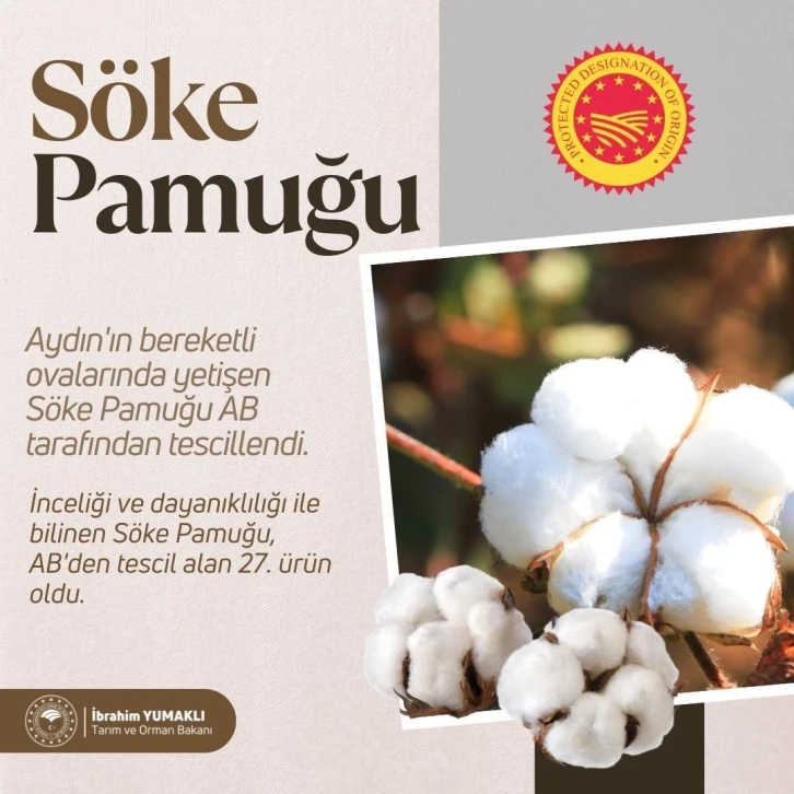 Bakan Yumaklı: "AB’den coğrafi işaret tescili alan Söke Pamuğu’yla tescilli ürün sayımız 27’ye yükseldi"
