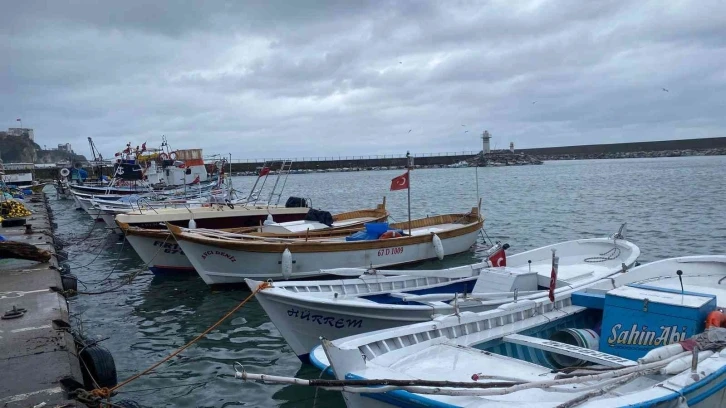 Balıkçılar hamsiden umutsuz
