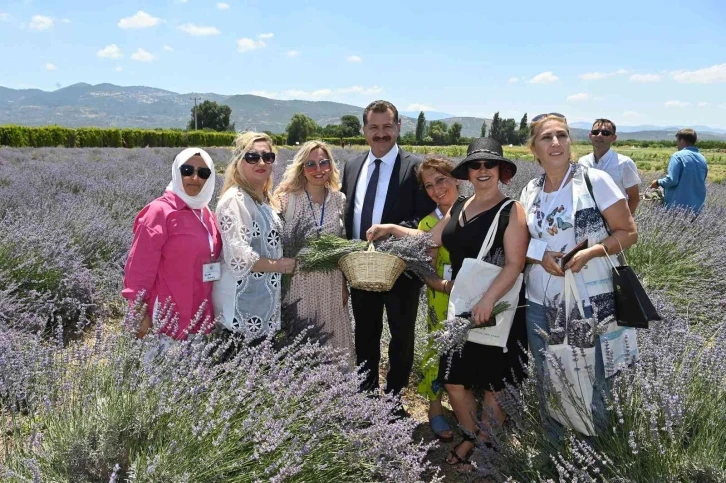 Balıkesir Büyükşehir Belediyesi, şehri aromatik bitki üssü yapma yolunda önemli adımlar atıyor
