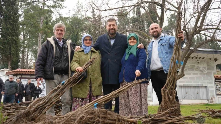 Balıkesir Büyükşehir’den Sındırgı’ya 16 bin ceviz ve badem fidanı
