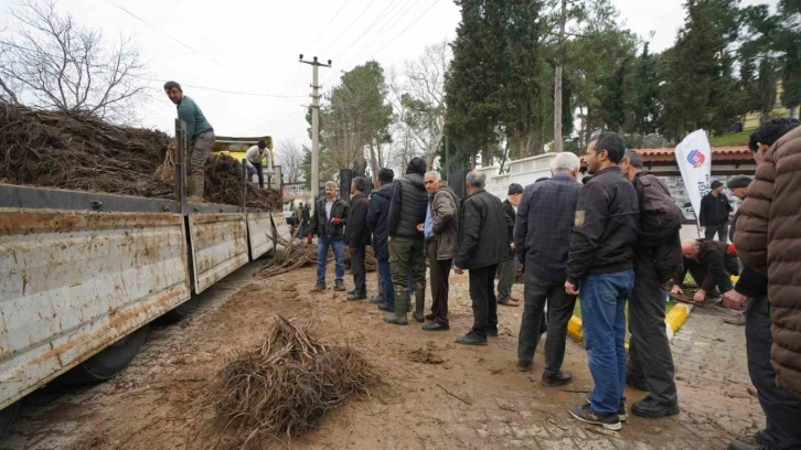 Balıkesir Büyükşehir’den üreticilere meyve fidanı desteği
