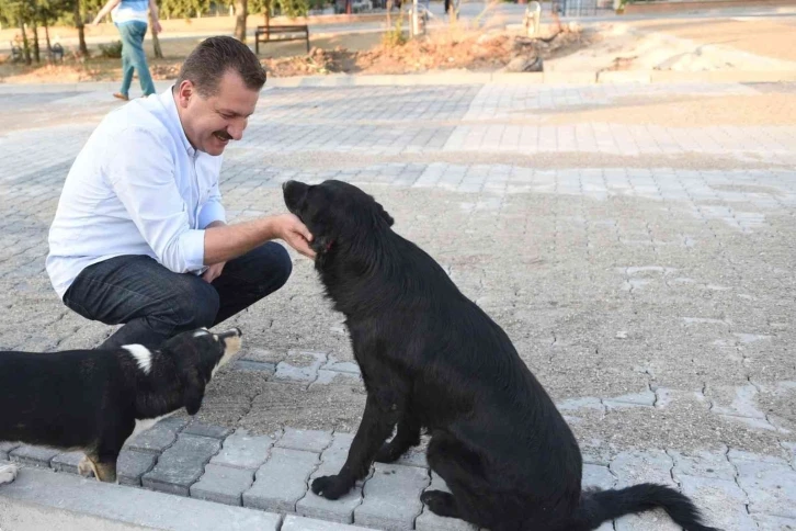 Balıkesir Büyükşehir ‘Mutlu Patiler’ projesini hayata geçiriyor
